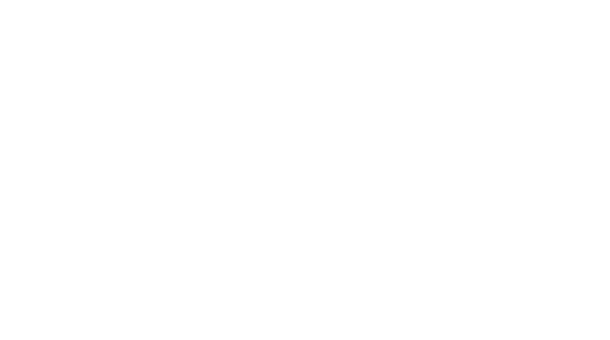 Irina Nuñez Studio